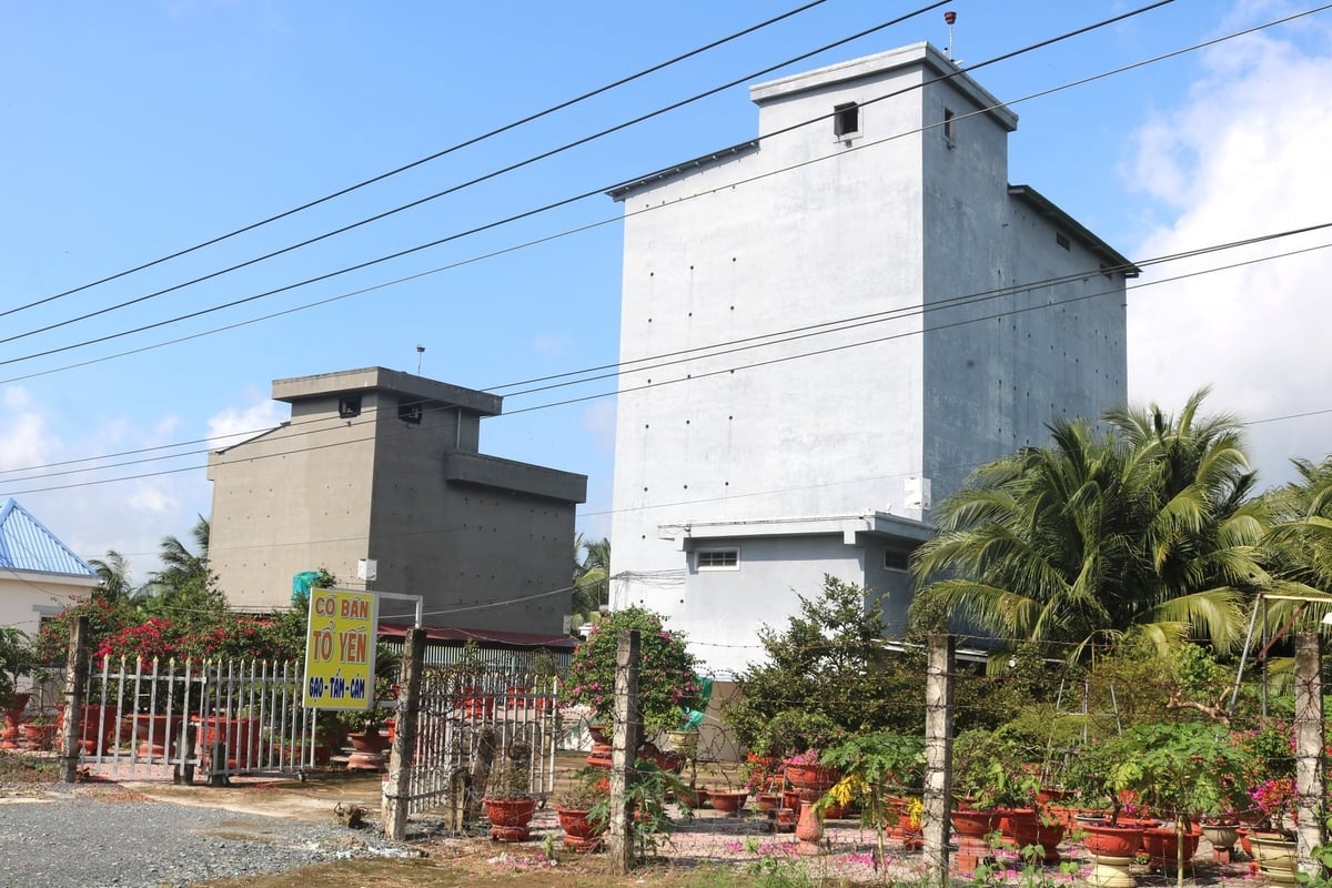 Một nhà nuôi chim yến tại xã Bình Phước, tỉnh Vĩnh Long. Ảnh: Minh Đảm. Một nhà nuôi chim yến tại xã Bình Phước, tỉnh Vĩnh Long. Ảnh: Minh Đảm.