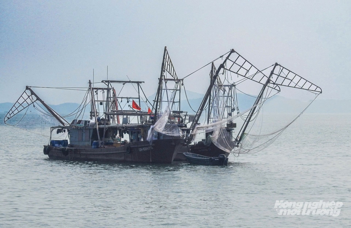 Quảng Ninh hướng tới việc tự động hóa quá trình nhận diện và giám sát tàu cá tại các cảng cá, khu neo đậu; kiểm soát chặt chẽ hoạt động tàu ra vào cảng. Ảnh: Cường Vũ. Quảng Ninh hướng tới việc tự động hóa quá trình nhận diện và giám sát tàu cá tại các cảng cá, khu neo đậu; kiểm soát chặt chẽ hoạt động tàu ra vào cảng. Ảnh: Cường Vũ.