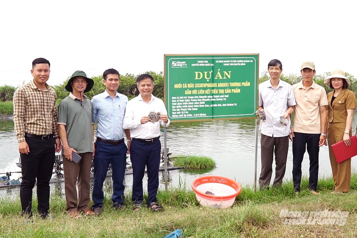 Mô hình nuôi cá nâu thương phẩm khẳng định hiệu quả, là cơ sở để tỉnh Quảng Trị nhân rộng. Ảnh: Võ Dũng.