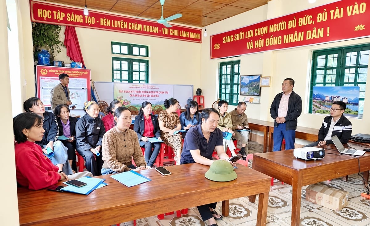 Các học viên được tập huấn kỹ thuật nhân giống, trồng, chăm sóc cây ăn quả ôn đới. Ảnh: Trung tâm Dịch vụ tổng hợp phường Sa Pa.