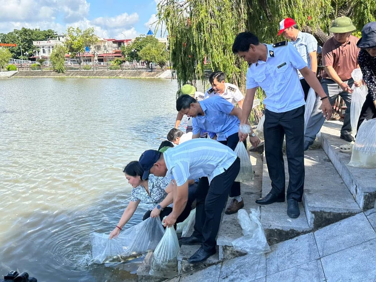 Nguồn giống khỏe mạnh được bổ sung vào tự nhiên. Ảnh: CTV.