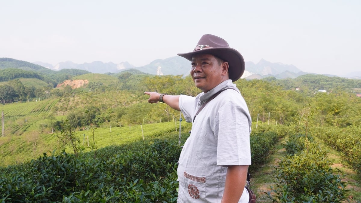 Anh Trọng với kỳ vọng làm sống dậy một thời vang bóng bằng cách tạo đời sống mới cho cây chè. Ảnh: Minh Toàn. Anh Trọng với kỳ vọng làm sống dậy một thời vang bóng bằng cách tạo đời sống mới cho cây chè. Ảnh: Minh Toàn.