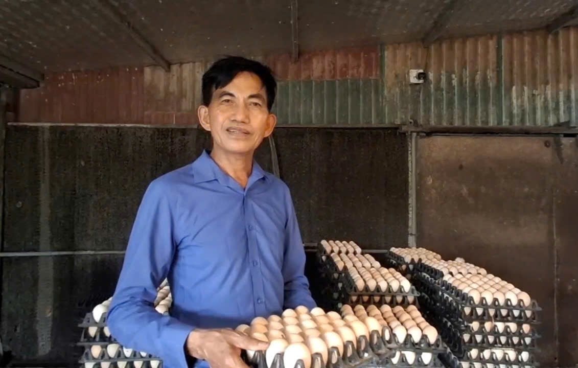 Từ năm 2015, ông Thuân quyết định rẽ hướng sang nuôi gà đẻ chuyên nghiệp, lấy công nghệ làm điểm tựa quản trị rủi ro. Ảnh: Đinh Mười.