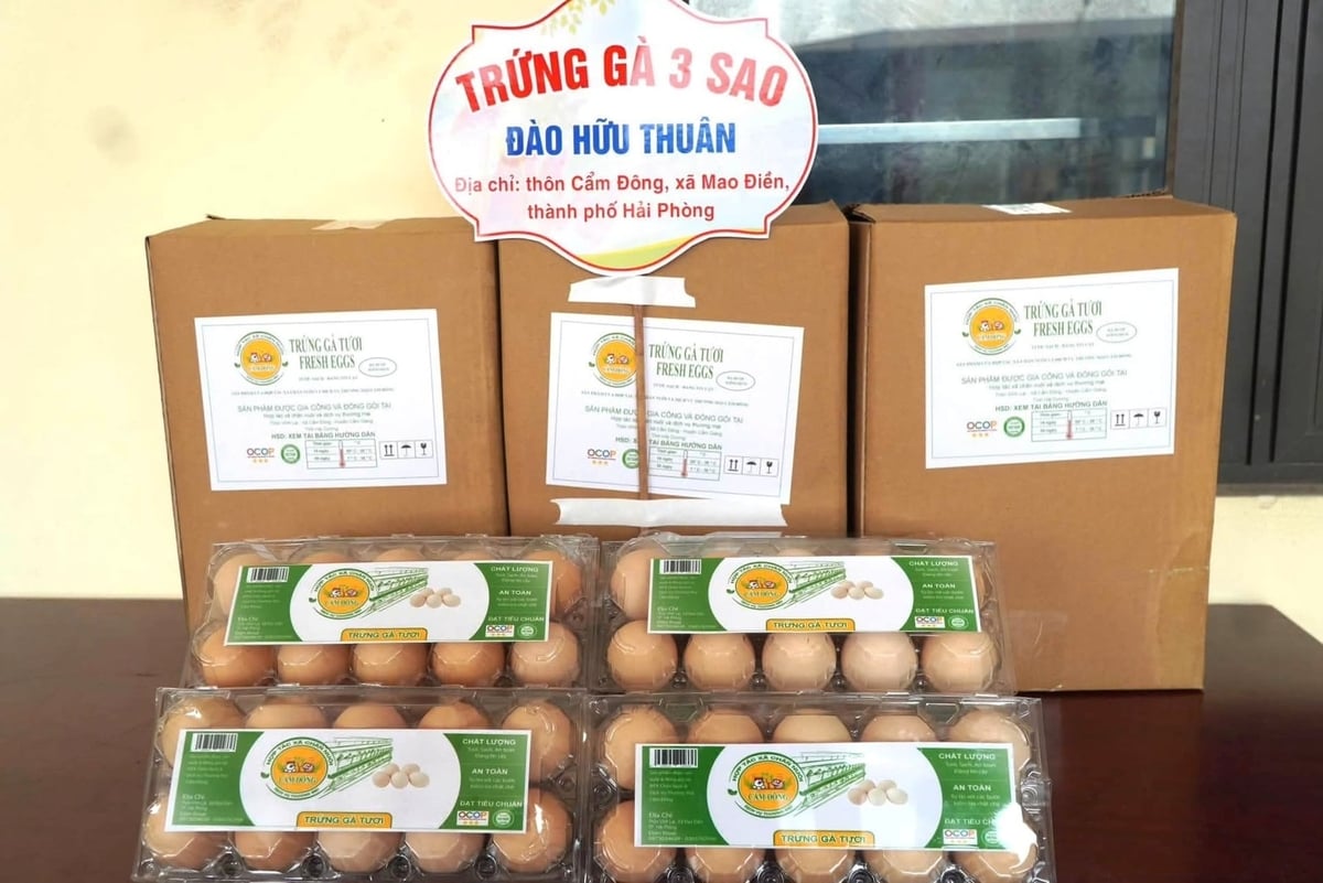 Sản phẩm trứng gà của ông Thuân đã được TP Hải Phòng ghi nhận với chứng nhận OCOP 3 sao. Ảnh: Đinh Mười.