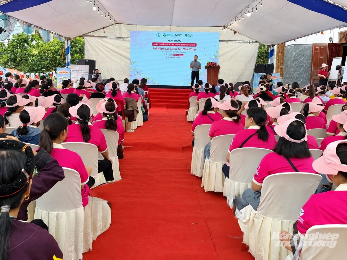 Toàn cảnh hội thảo 'Quản lý sức khỏe cây trồng tổng hợp (IPHM) Nữ nông gia canh tác bền vững' tổ chức tại xã Nam Dong, tỉnh Lâm Đồng. Ảnh: Nhật Tiến. Toàn cảnh hội thảo 'Quản lý sức khỏe cây trồng tổng hợp (IPHM) Nữ nông gia canh tác bền vững' tổ chức tại xã Nam Dong, tỉnh Lâm Đồng. Ảnh: Nhật Tiến.