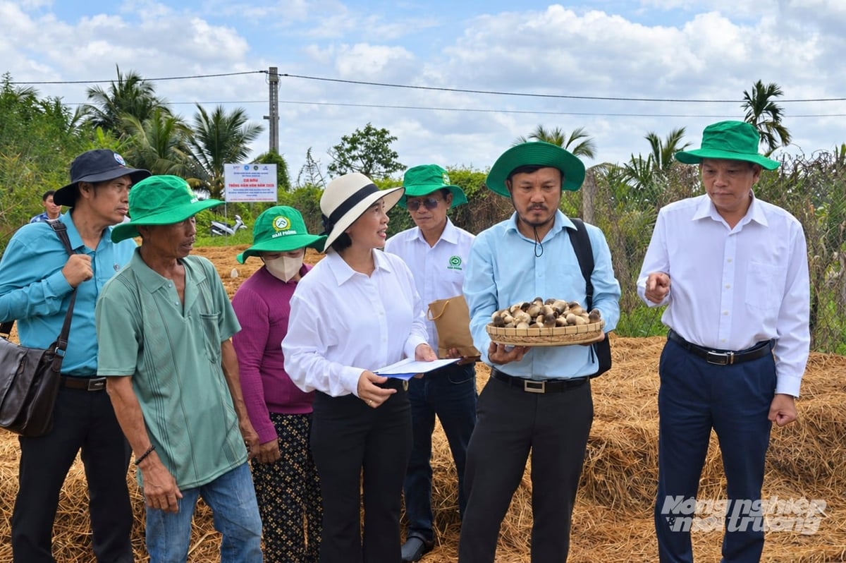 Phó Giám đốc Sở Nông nghiệp và Môi trường tỉnh An Giang Trần Thanh Hiệp (ngoài cùng bên phải) thăm mô hình. Ảnh: Trung Chánh.
