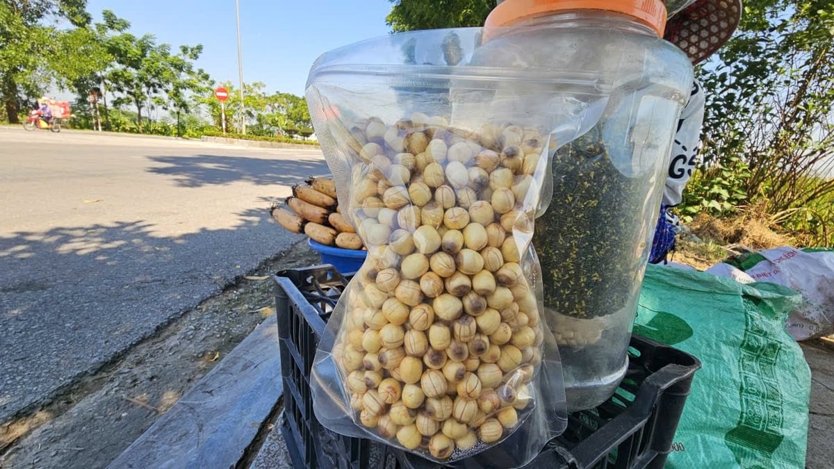 Hạt sen là sản phẩm có giá trị kinh tế cao, được thị trường ưa chuộng. Ảnh: Quốc Toản.