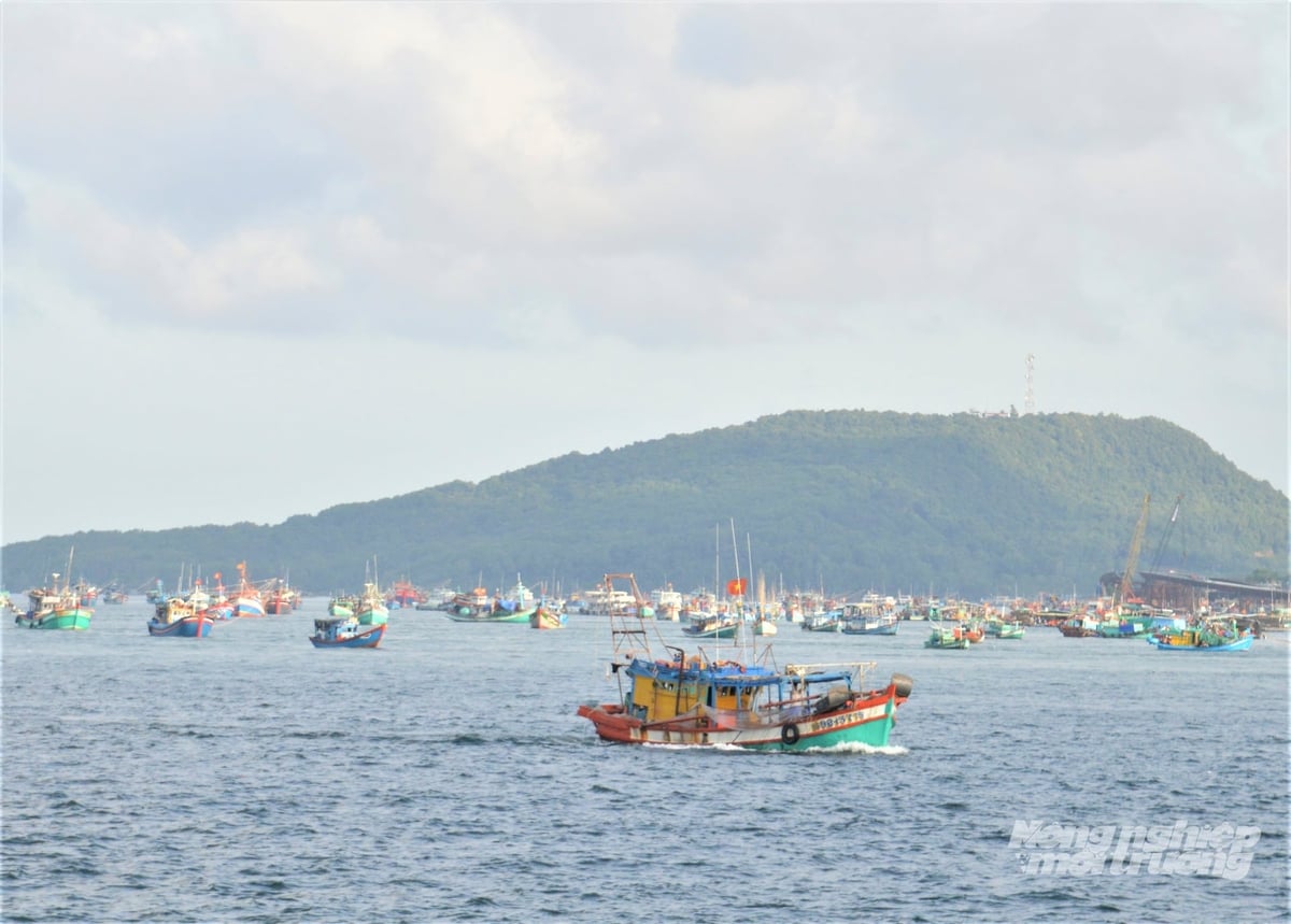 An Giang tăng cường các biện pháp quản lý tàu cá, xử lý triệt để nhóm tàu chưa đủ điều kiện hoạt động nhằm tăng cường để chống khai thác IUU. Ảnh: Trung Chánh. An Giang tăng cường các biện pháp quản lý tàu cá, xử lý triệt để nhóm tàu chưa đủ điều kiện hoạt động nhằm tăng cường để chống khai thác IUU. Ảnh: Trung Chánh.