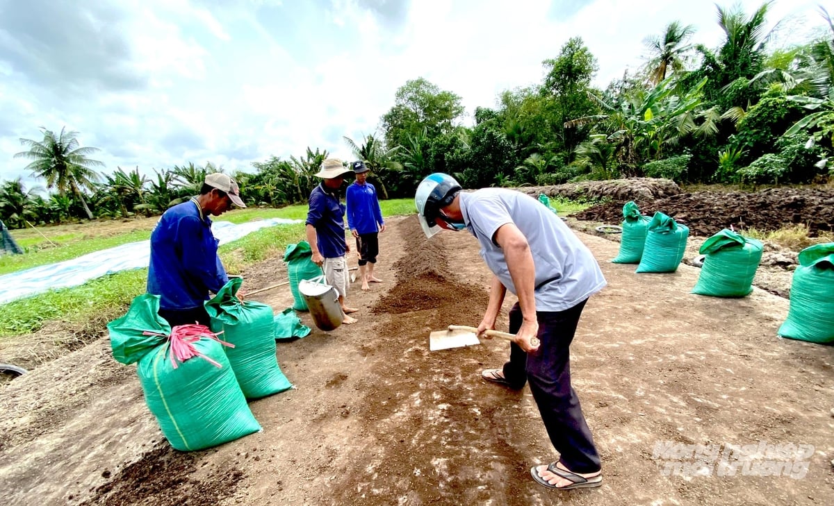 Tổ chức sản xuất theo vùng nguyên liệu giúp các hợp tác xã thuận lợi hơn trong áp dụng quy trình canh tác thống nhất. Ảnh: Minh Sáng.