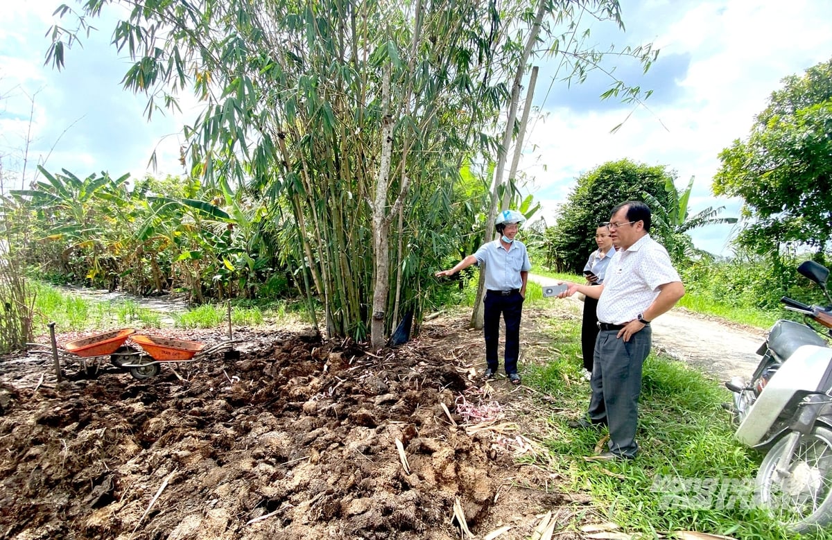 Cán bộ kỹ thuật hướng dẫn nông dân áp dụng quy trình canh tác lúa chất lượng cao, phát thải thấp. Ảnh: Minh Sáng.